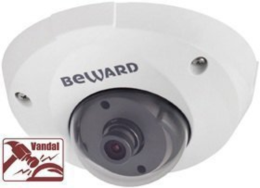 Телекамера IP CD400