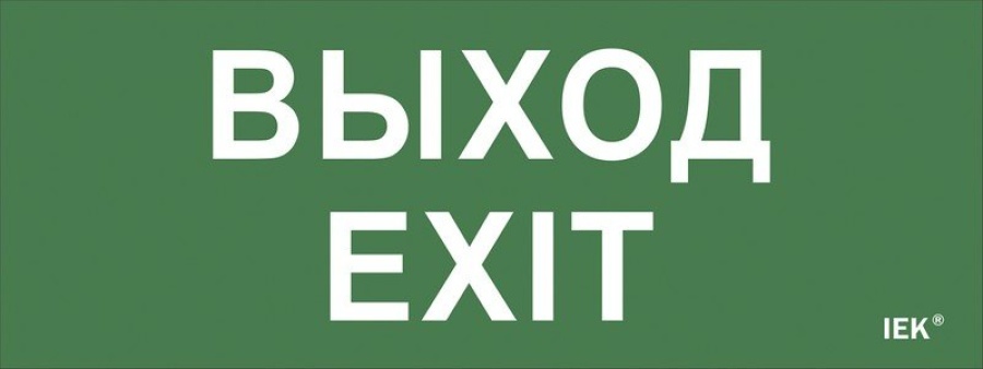 Самоклеящаяся этикетка "Выход-EXIT" (LPC10-1-24-09-VYHD) - Самоклеящаяся этикетка 240х90 мм