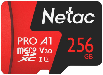 NT02P500PRO-256G-S - Карта памяти microSDXC, 256 ГБ, Class 10